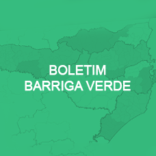 Boletin Barriga Verde