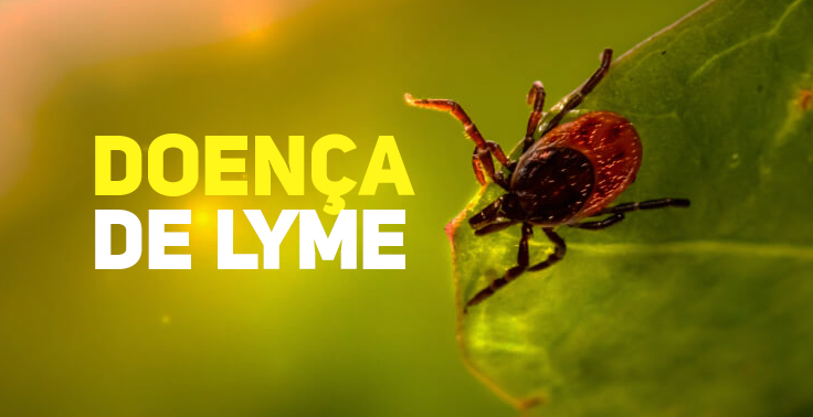 doenca de lyme